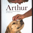 Arthur: Gatuhunden som lämnade djugeln & hittade hem (2016) - pikkukuva 1
