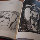 Stasys Krasauskas, graafisia töitä (1988) - pikkukuva 1