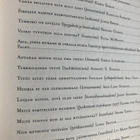 SKUGGE: PILLUPARVI - pikkukuva 2