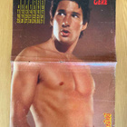 Richard Gere julisteet (pari julistetta) - pikkukuva 2