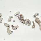 WH40K - Tyranid Warrior (Rogue Trader) [S149] - pikkukuva 2