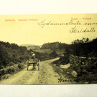 Sortavala Rautalahti Otsoisissa np 1905 - pikkukuva 1