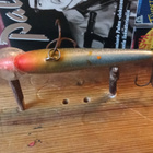 Salmo Finland    9cm vaappu   Jalokalalle - pikkukuva 4