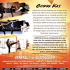 cobra kai 1 season (40 452) UUSI -DE- DVD (2) ralph macchio - pikkukuva 3