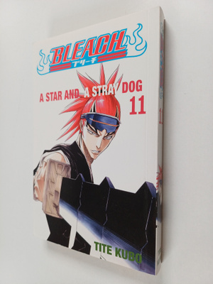Tite Kubo : Bleach, 11 - Star and a stray dog