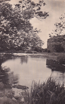 SUOMENLINNA KULKEMATON