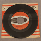The New Yorkers Seeds Of Spring 7"Single - pikkukuva 1