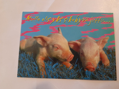 Mulla olis yks sikahyvä juttu...
