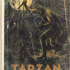 Edgar Rice Burroughs: Tarzan ja leijonamies (KKP 1p.1974) - pikkukuva 1