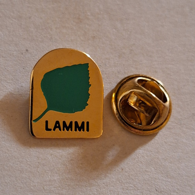 LAMMI PINSSI