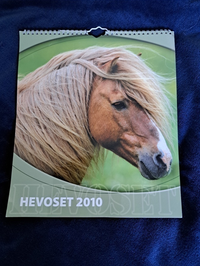 Hevoset 2010 seinäkalenteri