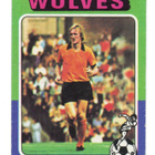 Purkkakuva Jalkapallo n:o 133 DEREK PARKIN WOLVES. - pikkukuva 1