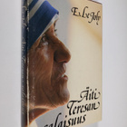E. Le Joly : Äiti Teresan salaisuus - pikkukuva 1