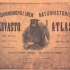 Luonnonopillinen kuvasto koulun ja kodon tarpeeksi - pikkukuva 1