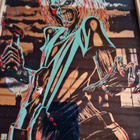 Iron Maiden vintage peilitaulu 1980-luvulta. 33×22cm - pikkukuva 4