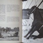 Klaus Zeeb: Les chevaux de Frédy Knie - pikkukuva 5