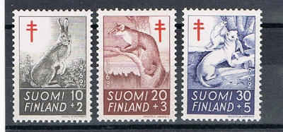 1962 TUB (3) ++