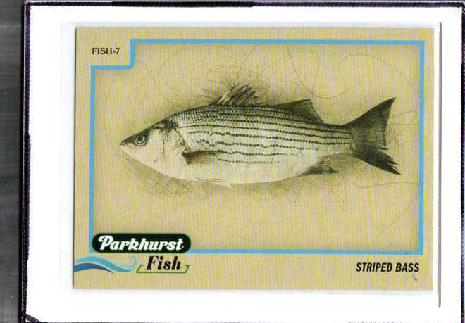 2025-26 Parkhurst - Fish - 0,75 € / kpl
