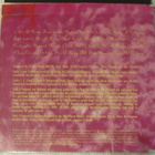 Busta Rhymes Featuring Zhane • It's A Party CD-Single - pikkukuva 2