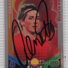 Fernando Torres Espanja signed - pikkukuva 1