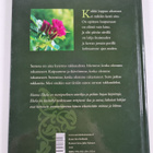 Hanna Ekola : Sano suruasi rakkaudeksi - pikkukuva 2