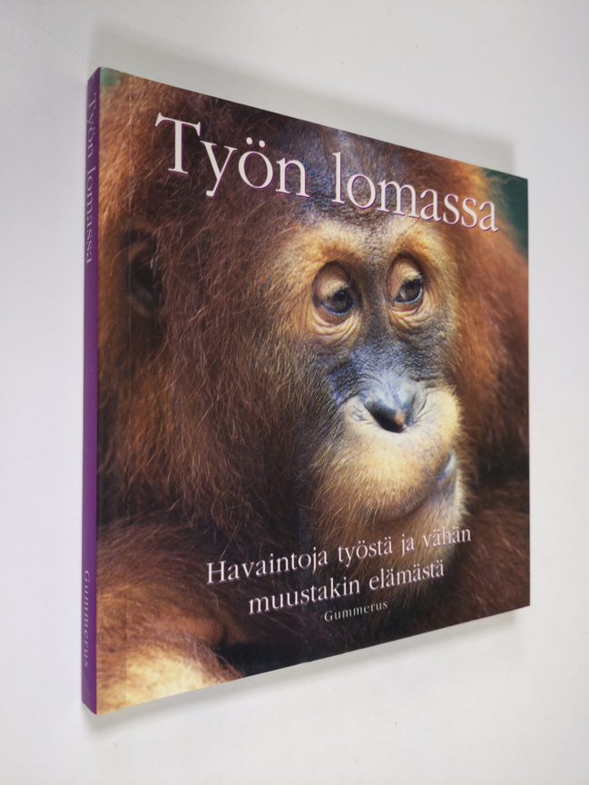 Työn lomassa : innostavia ajatuksia elämästä