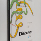 Pirjo Ilanne-Parikka : Diabetes - pikkukuva 1