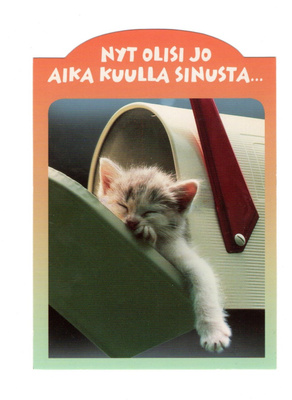 Kissa...°°Nyt olisi jo aika kuulla SINUSTA...°° -KORTTI