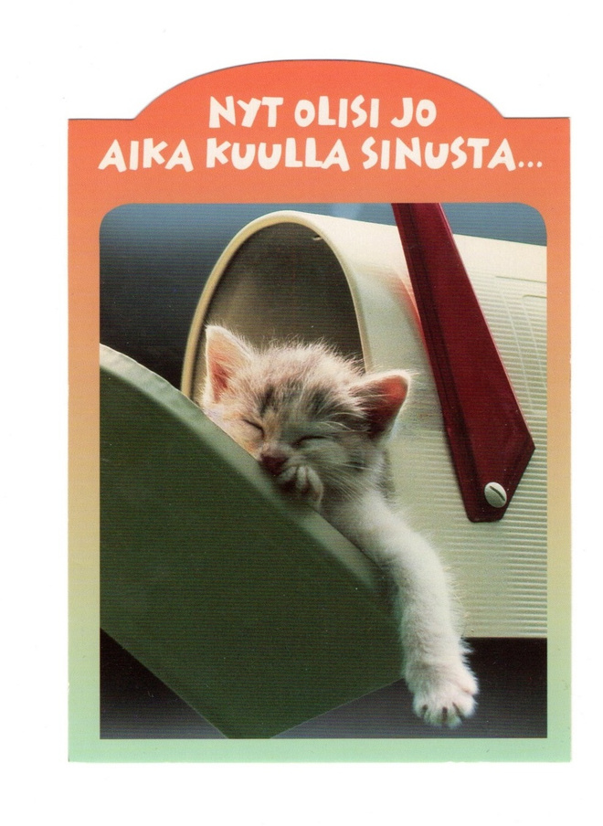 Kissa...°°Nyt olisi jo aika kuulla SINUSTA...°° -KORTTI