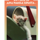 Kissa...°°Nyt olisi jo aika kuulla SINUSTA...°° -KORTTI - pikkukuva 1