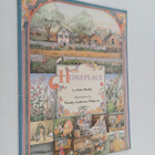 Anne Shelby : Homeplace - pikkukuva 1
