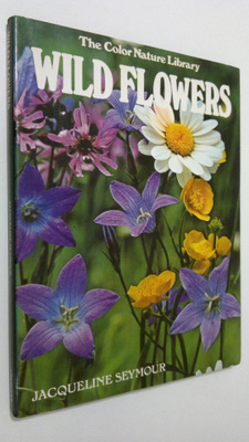 Jacqueline Seymour : Wildflowers