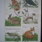 FDC Metsän eläimiä 0,65 € 28.4.2004 - LaPe BL35 - pikkukuva 2