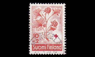 500 o PR lakka loisto Mäntsälä 21.4.59 (1958)