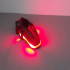 Koiralle LED-valopanta S-koko - pikkukuva 2