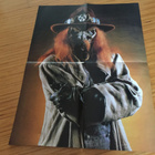 GOREZONE MAGAZINE 21/1992+ julisteet HYVÄ - pikkukuva 5