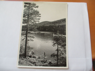 Koli -1960 matkailukuvaleimaus