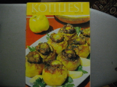 Kotiliesi Nro 19/1966 (15.3)