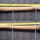 KIRVES noin 60 cm varrella - pikkukuva 1