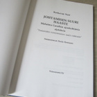 Johtamisen suuri haaste - Mahatma Gandhin ajatuksia - pikkukuva 3