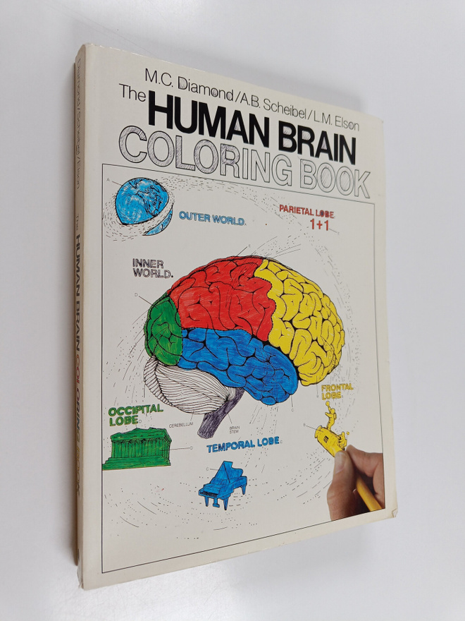 Marian C. Diamond : The human brain coloring book
