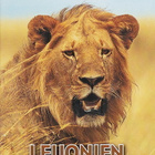 Leijonien matkassa - National Geographic [DVD] - pikkukuva 1