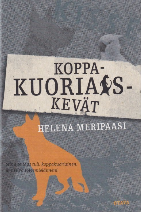 Helena Meripaasi: Koppakuoriaiskevät
