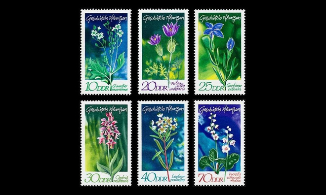 DDR 1563-8 ** Uhanalaisia kasveja (1970)