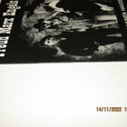 *LP* FREUD MARX ENGELS & JUNG Jokainen Hakee Juomansa Itse - pikkukuva 5