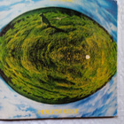 LP-LEVY: MIKE OLDFIELD : HERGEST RIDGE - pikkukuva 1