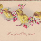 Tiput ja kukkivaoksa - pikkukuva 1
