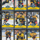 lukko peruskortit+peruserkkarit Team Setti Blueline 26-27 - pikkukuva 1