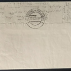 TAKSAHARVINAISUUS saarismerkein, Kerimäki 1920 - pikkukuva 3