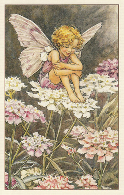 Cicely Mary Barker: Kukkakeijut saippo